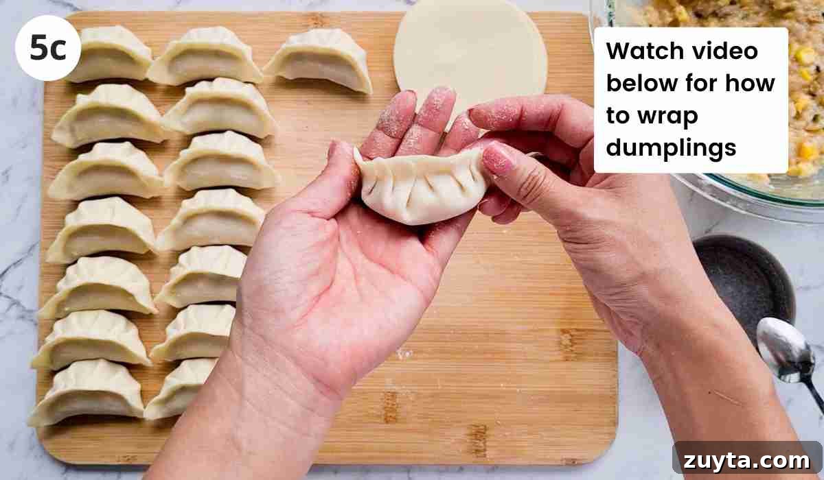How to Make Authentic Chinese Chicken Dumplings 10 Wrapped dumpling with caption held up by two hands