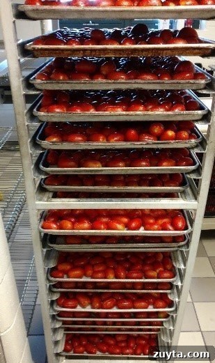 Turn Your Freezer into a Pantry: Smart Storage Tips 2 tomatoes being readied for freezer pantry