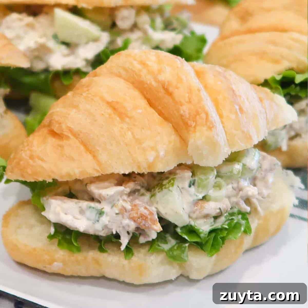 How to Make a Classic Turkey Club Sandwich 5 chicken salad sandwiches, chicken salad croissant