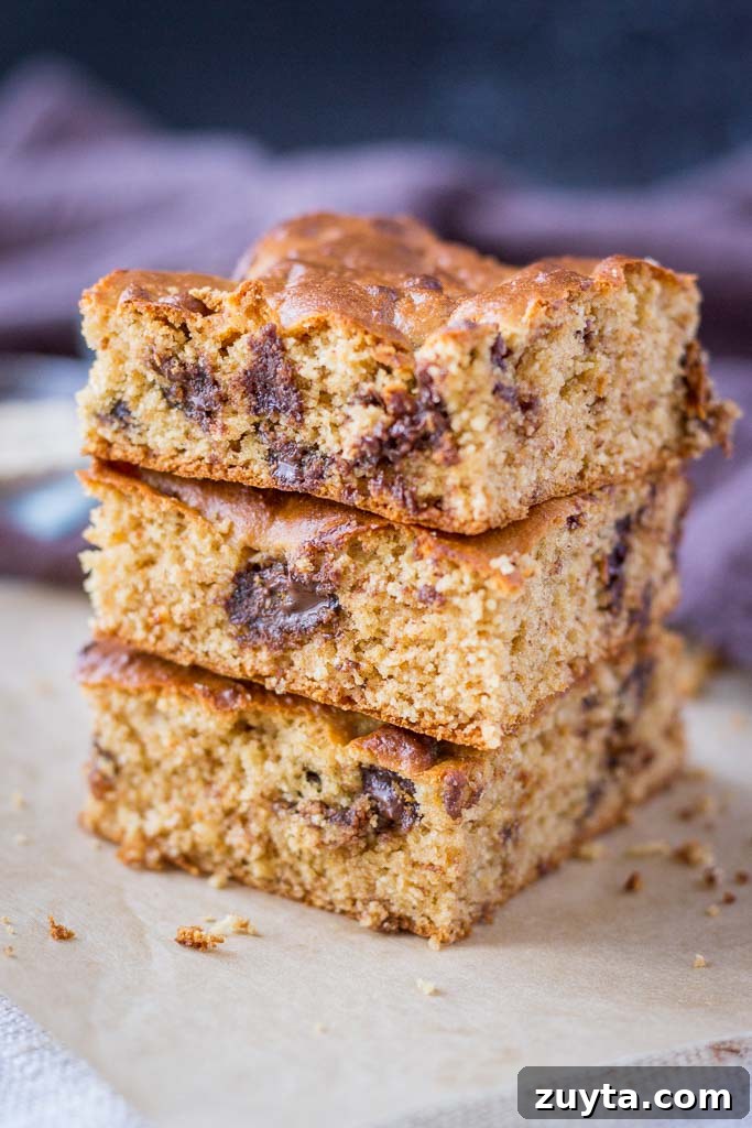 Chewy Peanut Butter Chocolate Chip Blondies Recipe 2 Flourless Peanut Butter Blondies with Chocolate Chips