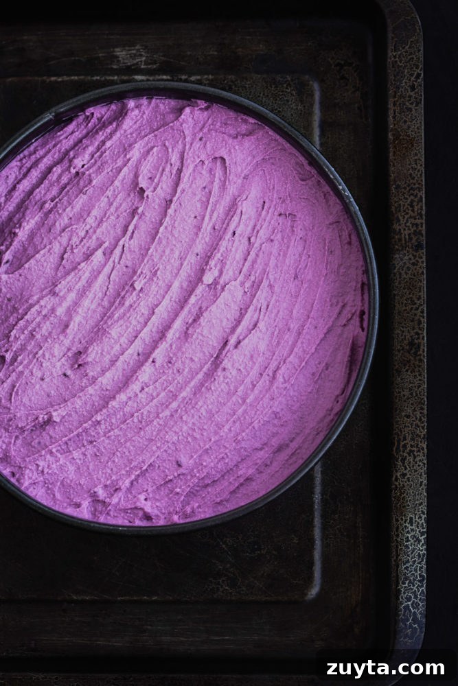Purple sweet potato cheesecake batter, spread out on a spring foam pan.